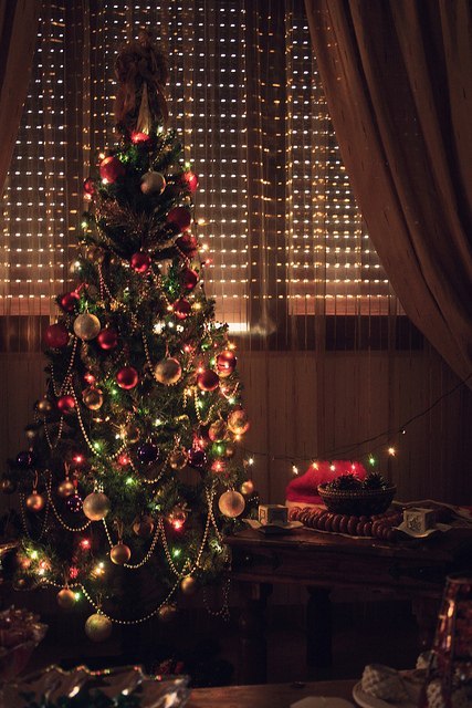 Рекомендации по фотосъемке новогодней елки