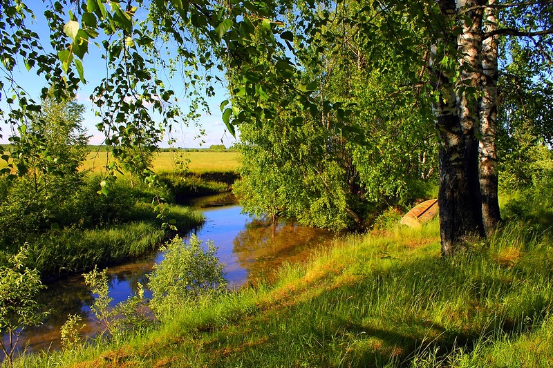 Река пчел. Летний пейзаж. Пейзажи средней полосы России. Пейзаж лето. Летний пейзаж фото.